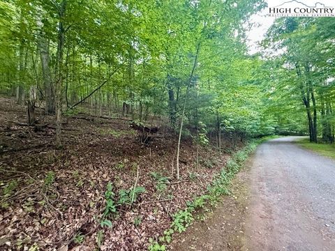 Photo of TBD Winter Street, Jefferson, NC 28640 (MLS # 257227)