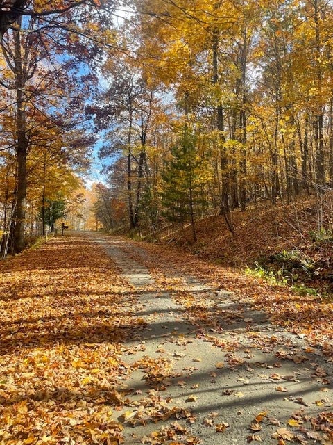 Vacant Land For Sale - TBD Winter Street<br/> Jefferson, NC 28640