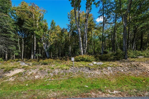 Photo of ES49 Rippling Waters Trail, Banner Elk, NC 28604 (MLS # 264583)