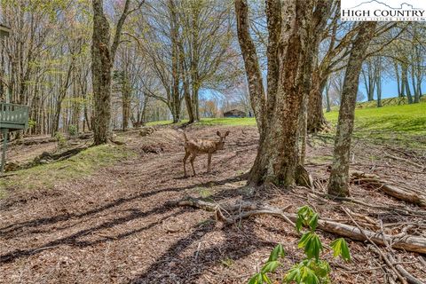 Photo of 201 Grassy Gap Loop Road, Beech Mountain, NC 28604 (MLS # 258504)