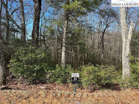 Vacant Land For Sale - Land<br/> McGrady, NC 28649