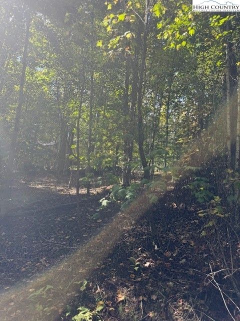 Photo of 166 Wild Iris Rd, Beech Mountain, NC 28604 (MLS # 258554)