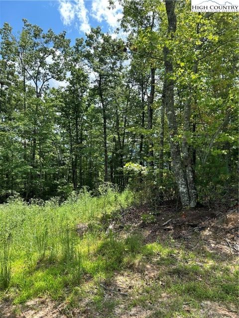 Photo of 6 Reynolds Parkway, Ferguson, NC 28624 (MLS # 256918)