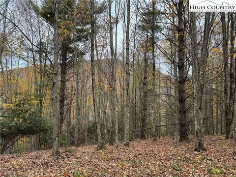 Photo of TBD Rominger Road, Banner Elk, NC 28604 (MLS # 256839)