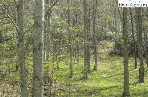 Photo of tbd Bob's Mountain Road, Boone, NC 28607 (MLS # 256586)