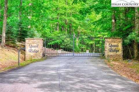 Homes For Sale - LOT 27 Quail Ridge Drive<br/> Fleetwood, NC 28626