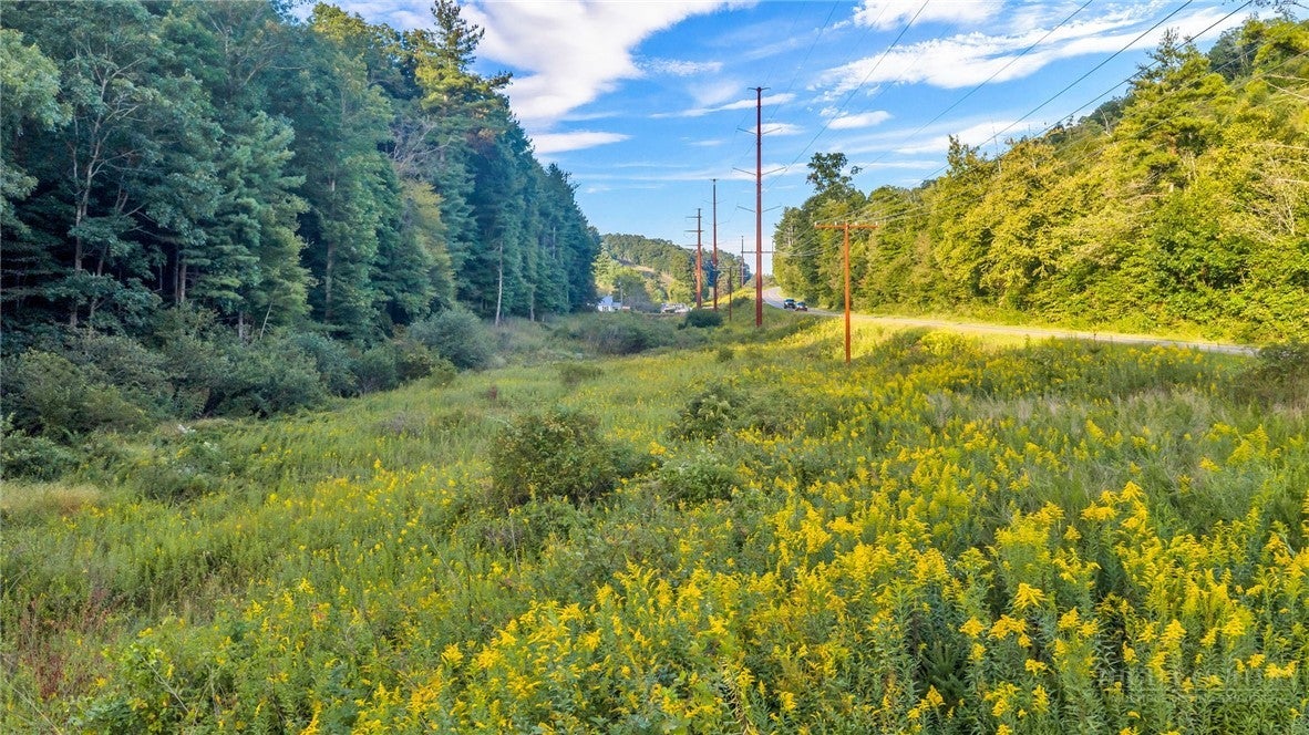 TBD Idlewild Road