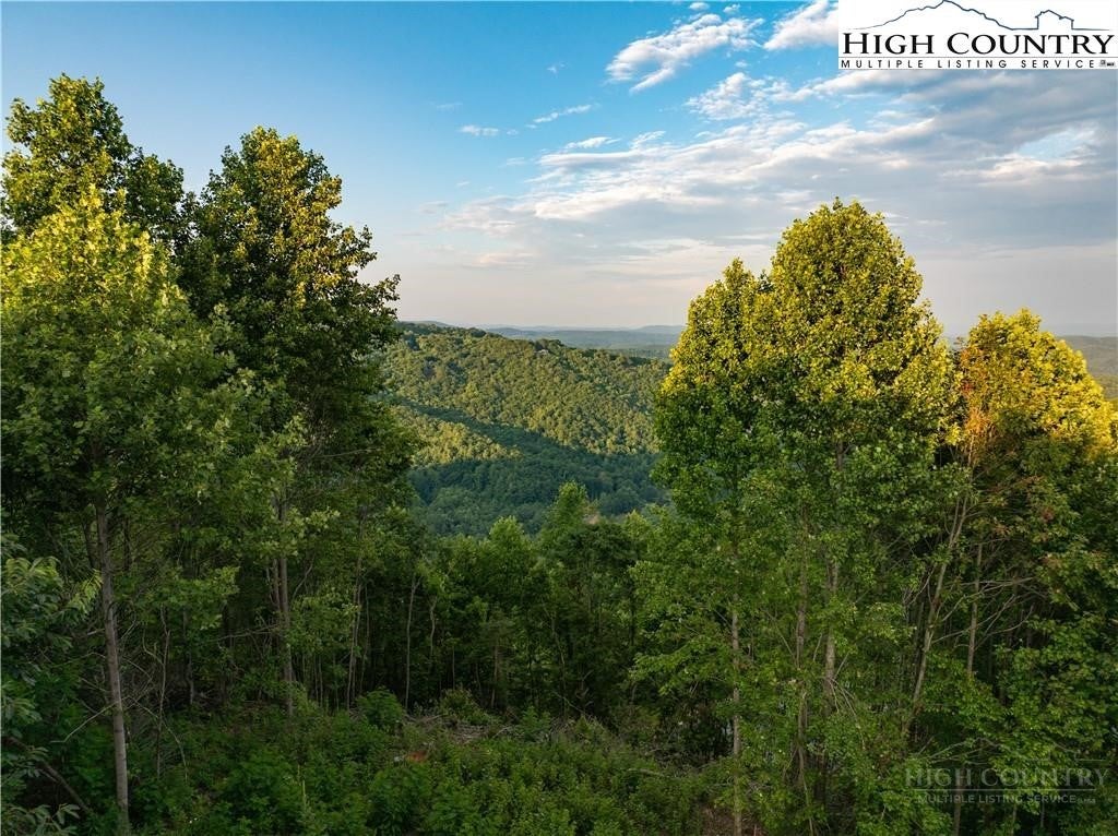 Lot 142 Angelfire Trail