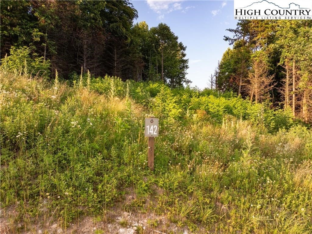 Lot 142 Angelfire Trail