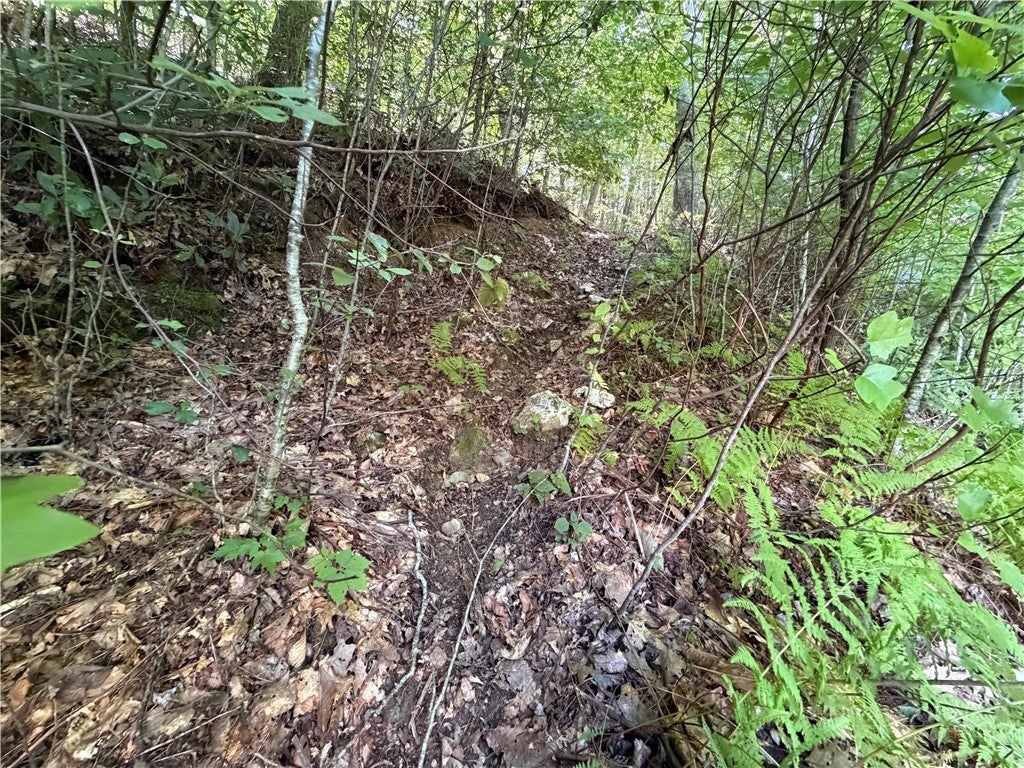 Lot 84 Cedar Road