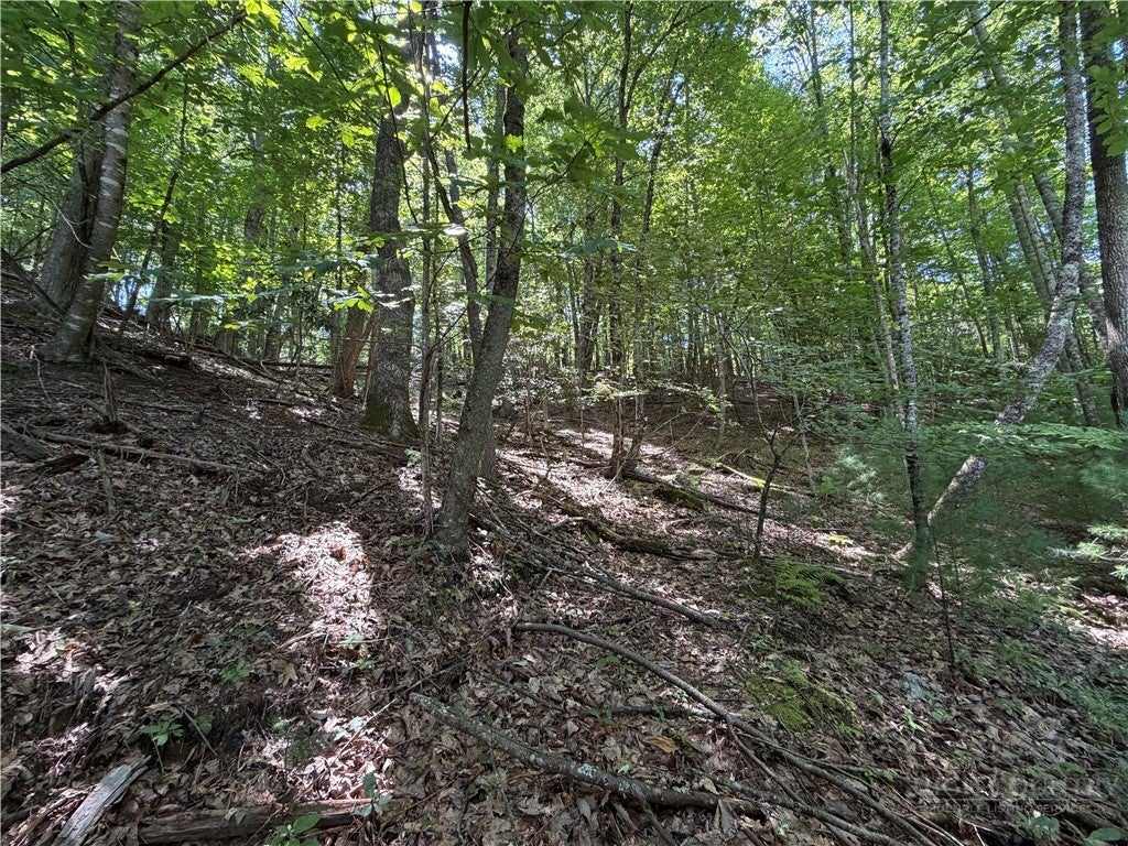 Lot 84 Cedar Road