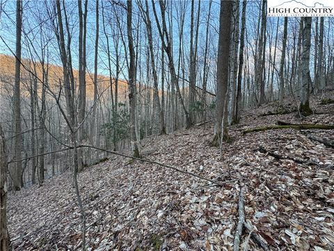 Photo of Lot 3 Buckeye Ridge Road, Beech Mountain, NC 28604 (MLS # 254003)