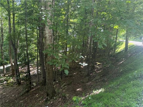 Vacant Land For Sale - 200 Wild Daisy Road<br/> Watauga County, Beech Mountain, NC 28604