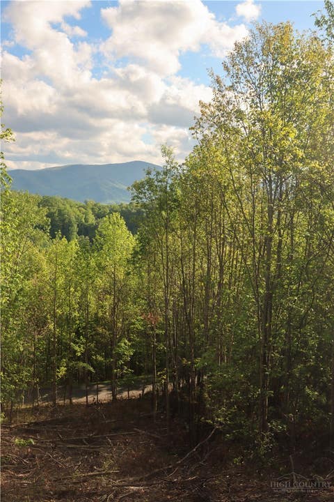 Photo of Lot 25 TBD Lake View Drive, Elk Park, NC 28622 (MLS # 263641)