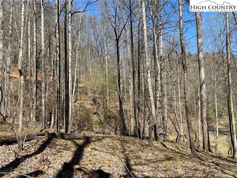 Photo of Lot 4/5 Bauers Lane, Deep Gap, NC 28618 (MLS # 243392)
