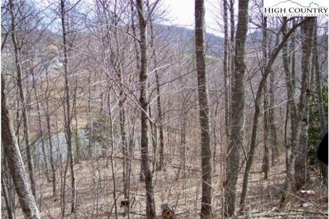 Photo of TBD Grande Oaks Drive, Todd, NC 28684 (MLS # 259465)