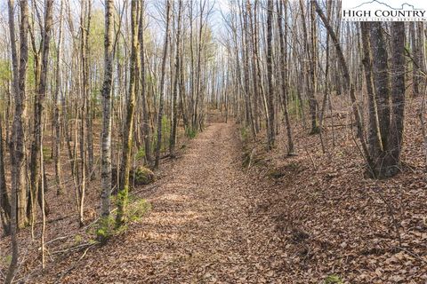 Photo of TBD Lot 2 All Healing Springs Road, Taylorsville, NC 28681 (MLS # 260917)
