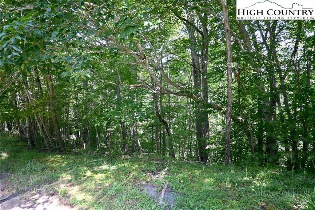 TBD Turkey Ridge South