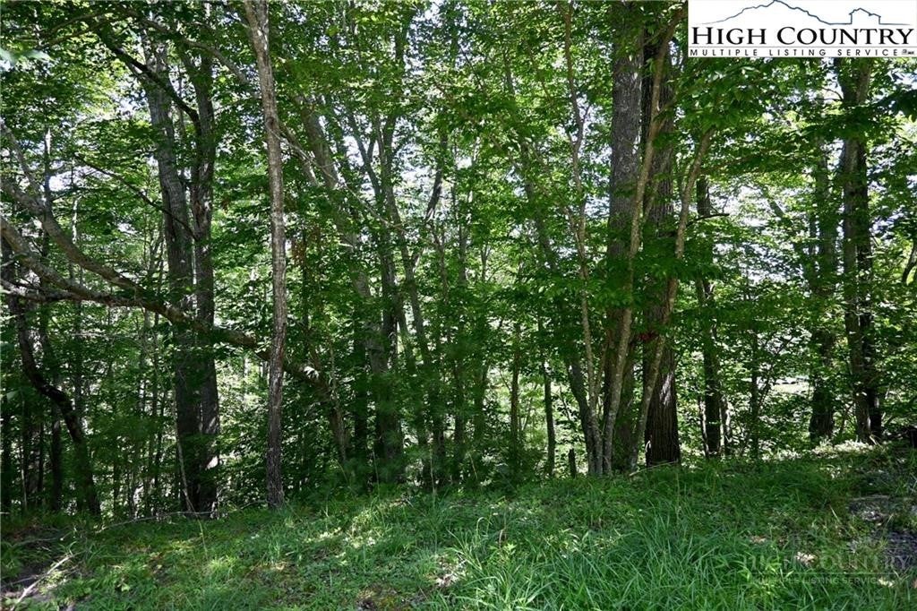 TBD Turkey Ridge South
