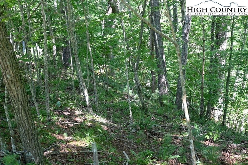 TBD Turkey Ridge South