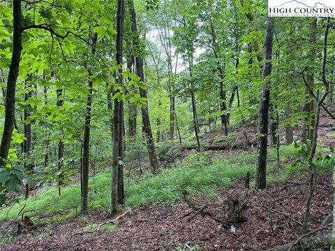 Photo of TBD Rattlesnake Mountain Road, Laurel Springs, NC 28644 (MLS # 257757)