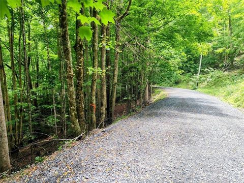 Photo of 139 Raccoon Road, Beech Mountain, NC 28604 (MLS # 262278)