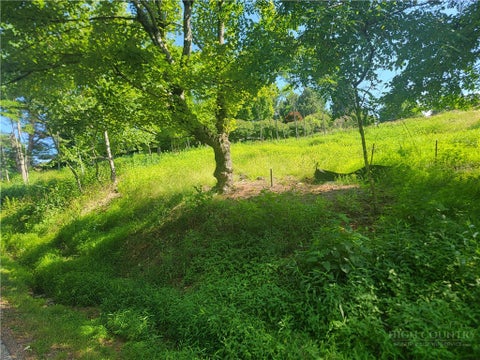 Photo of lot 66 Center Court Drive, Boone, NC 28607 (MLS # 263085)