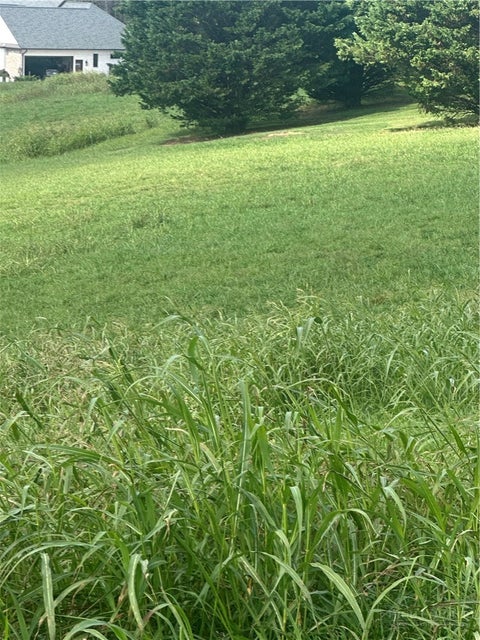 Photo of Lot 211 Canterbury Drive, North Wilkesboro, NC 28659 (MLS # 264940)