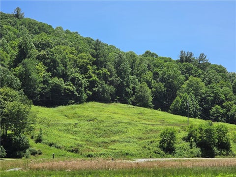 Photo of Lot 12 Elk River Road, Elk Park, NC 28622 (MLS # 262987)