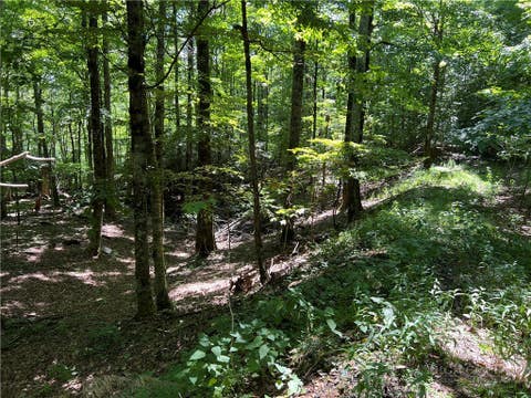 Photo of TBD Maple Branch Road, West Jefferson, NC 28694 (MLS # 263854)