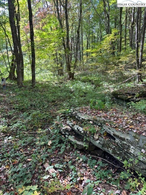 Vacant Land For Sale - LOT 36 Beechwood Circle<br/> Creston, NC 28615