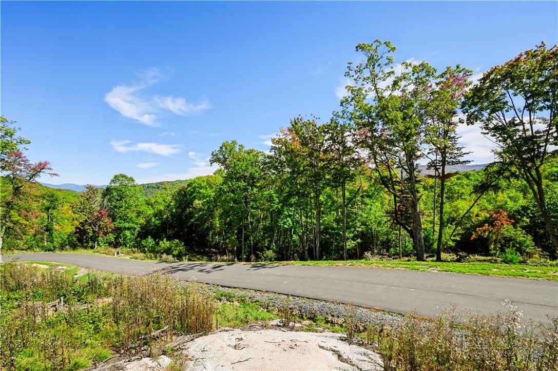 WR-17 Firethorne Lane