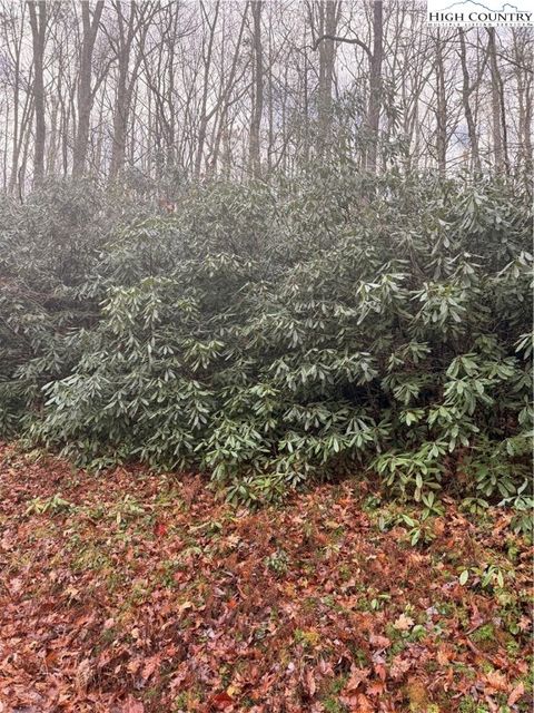 Photo of TBD Buckeye Creek Road, Beech Mountain, NC 28622 (MLS # 259178)