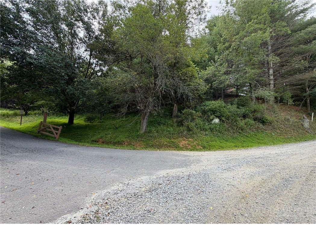 TBD River Country Road