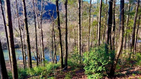 Photo of 4.6 Acres, Lot 126/1 Sunset Creek Lane, Lenoir, NC 28645 (MLS # 264683)