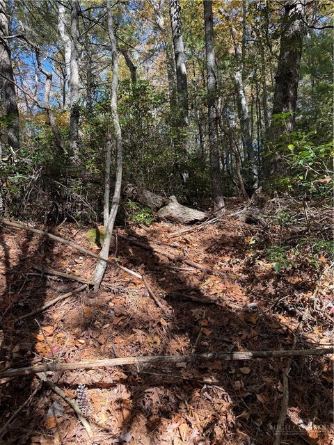 Photo of TBD W Liberty Court Drive, West Jefferson, NC 28694 (MLS # 265141)