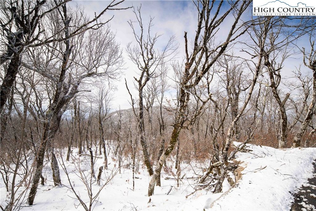 Photo of TBD (E3) Oz Road, Beech Mountain, NC 28604 (MLS # 259851)