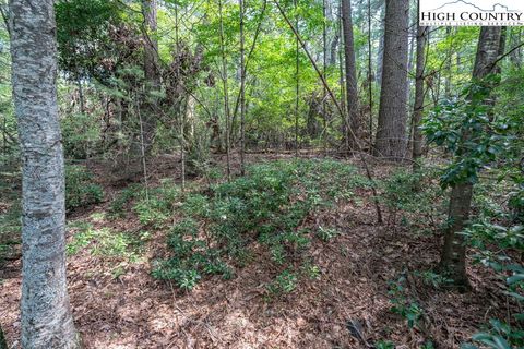 Photo of TBD Ira Road, Boone, NC 28607 (MLS # 257730)