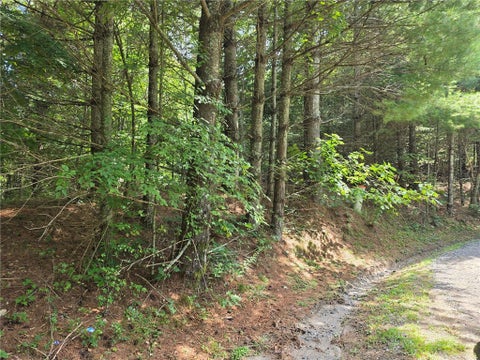 Vacant Land For Sale - LOT 78 Green Meadows<br/> Todd, NC 28684