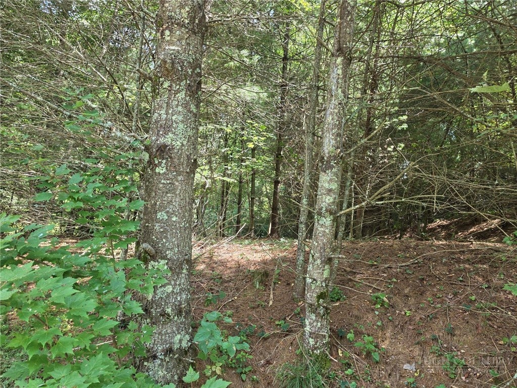 Lot 78 Green Meadows