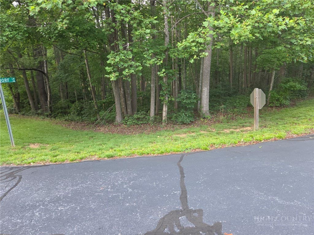 Photo of TBD W Meadow Parkway, Moravian Falls, NC 28654 (MLS # 262794)