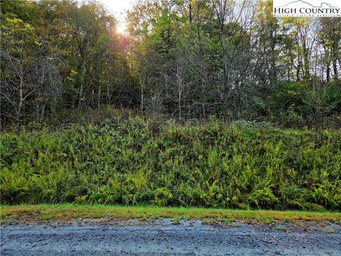 Townhouse For Sale - LOT 31 Riverstone<br/> Laurel Springs, NC 28644