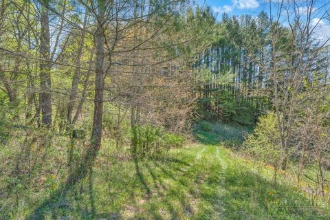 Photo of Lot 7 Paradise Valley Estates, Creston, NC 28615 (MLS # 261307)