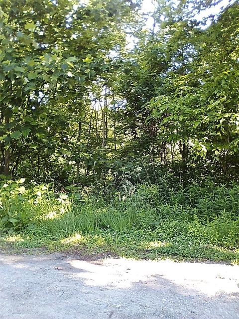 Vacant Land For Sale - TBD N 321 Highway<br/> Watauga County, Sugar Grove, NC 28679