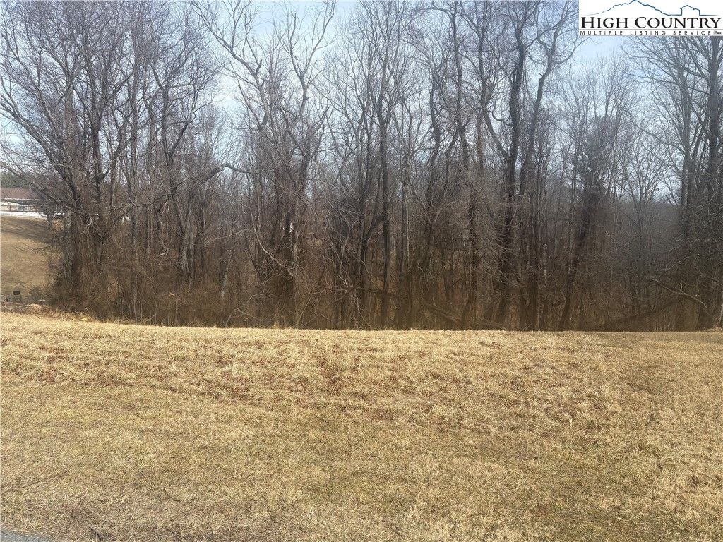 Photo of TBD 10-H Memorial Park Drive, Sparta, NC 28675 (MLS # 259991)