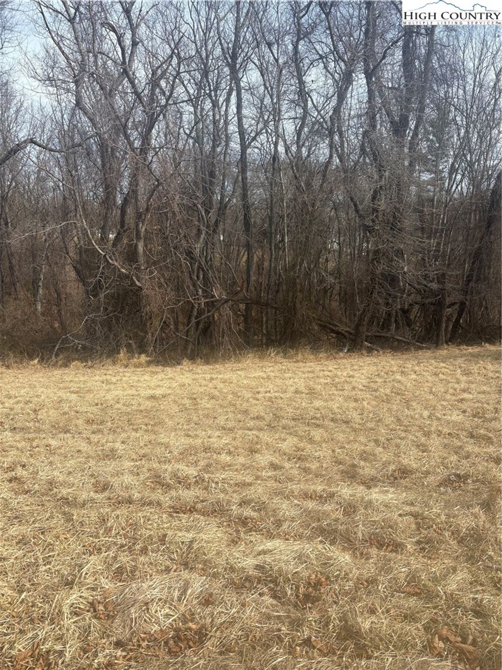 Photo of TBD 10-H Memorial Park Drive, Sparta, NC 28675 (MLS # 259991)