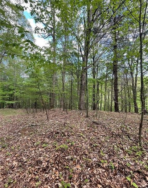 Photo of TBD Edwin Blevins Road, Jefferson, NC 28640 (MLS # 262334)