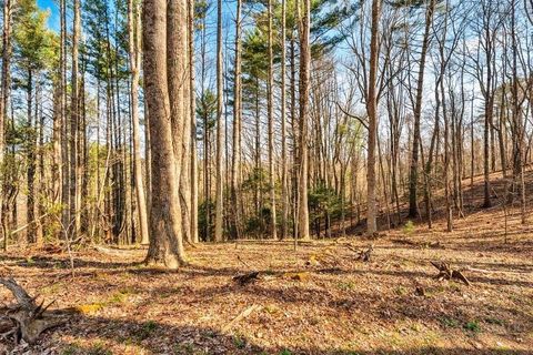 Photo of TBD Private Drive, Sugar Grove, NC 28679 (MLS # 260123)