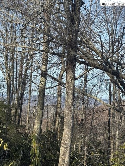 Photo of 226 Greenbriar Road, Beech Mountain, NC 28604 (MLS # 259546)