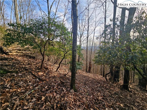 Vacant Land For Sale - LOT 111 Sunset View Dr<br/> Grassy Creek, NC 28631